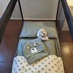 Mauthen 19 * Kotschach-Mauthen