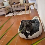 아파트 Mauthen 19