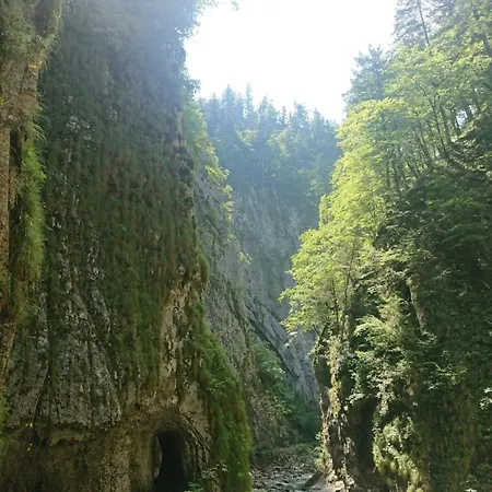 Mauthen 19 Apartament *