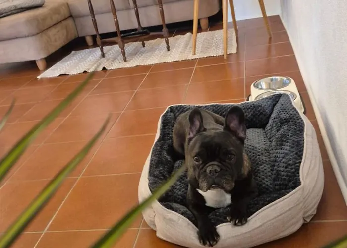 Apartament Mauthen 19